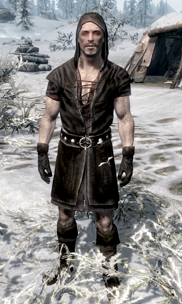 how to become jarl in skyrim how to become jarl in skyrim