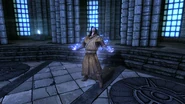 Bane of the Undead Charged.png (5.08 MB) Bane of the Undead being charged