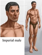 Imperial Male