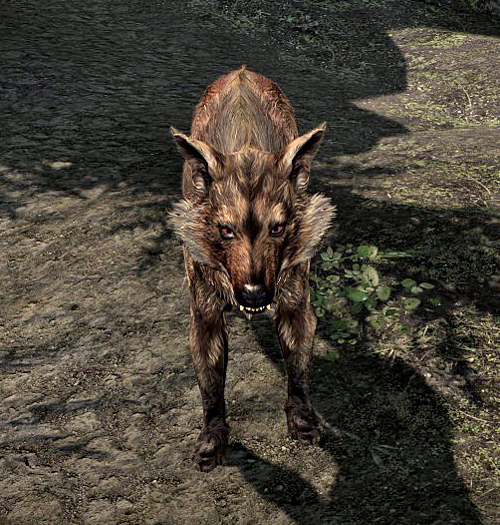 skyrim true wolves of skyrim