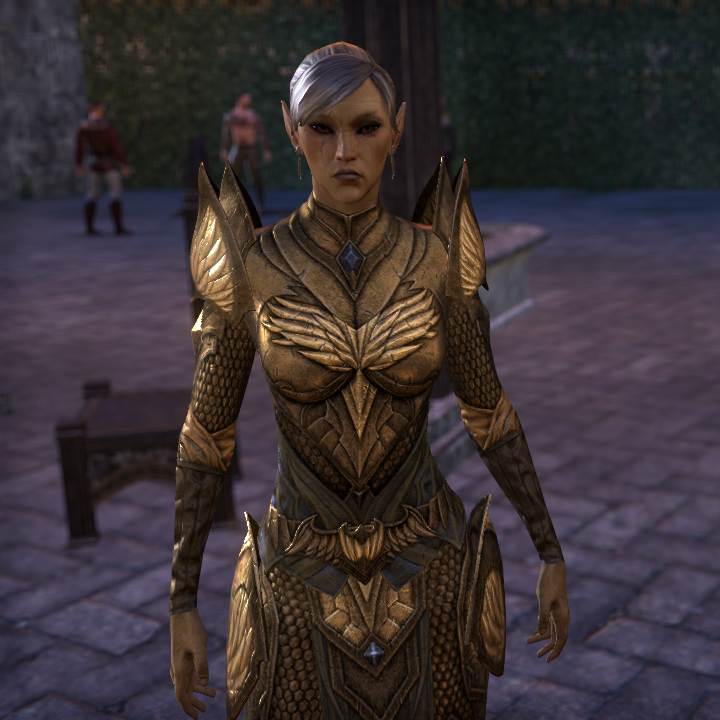 Наемный юстициар. Eso альтмеры. Юстициар азари самара. Mass effect юстициар. Альтмер teso.