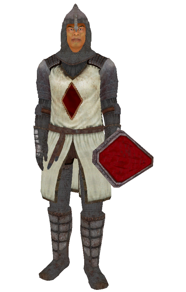 the nine elder scrolls the nine elder scrolls