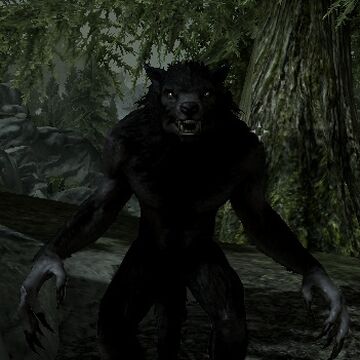 Curse Of Hircine - Resurrected At Oblivion Nexus - Mods And Community