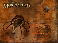 Нетчи на загрузочном экране The Elder Scrolls III: Morrowind