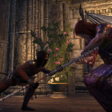 Filling The Void Eso Quest Filling The Void Elder Scrolls Fandom filling the void elder scrolls fandom