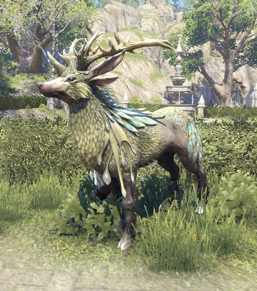 Lotus (Indrik) Elder Scrolls Fandom