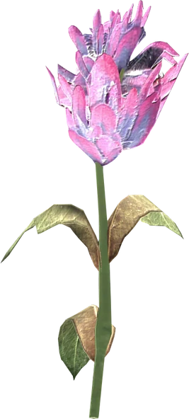 Purple mountain flower