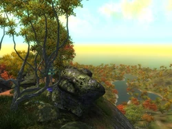 Manias farbenfrohe Ausstrahlung