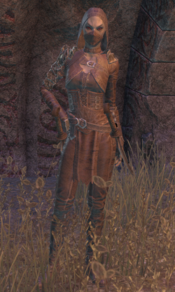 Your number one blog for Elder Scrolls Online support, tutorials, guides and builds - Lucky Maniacs