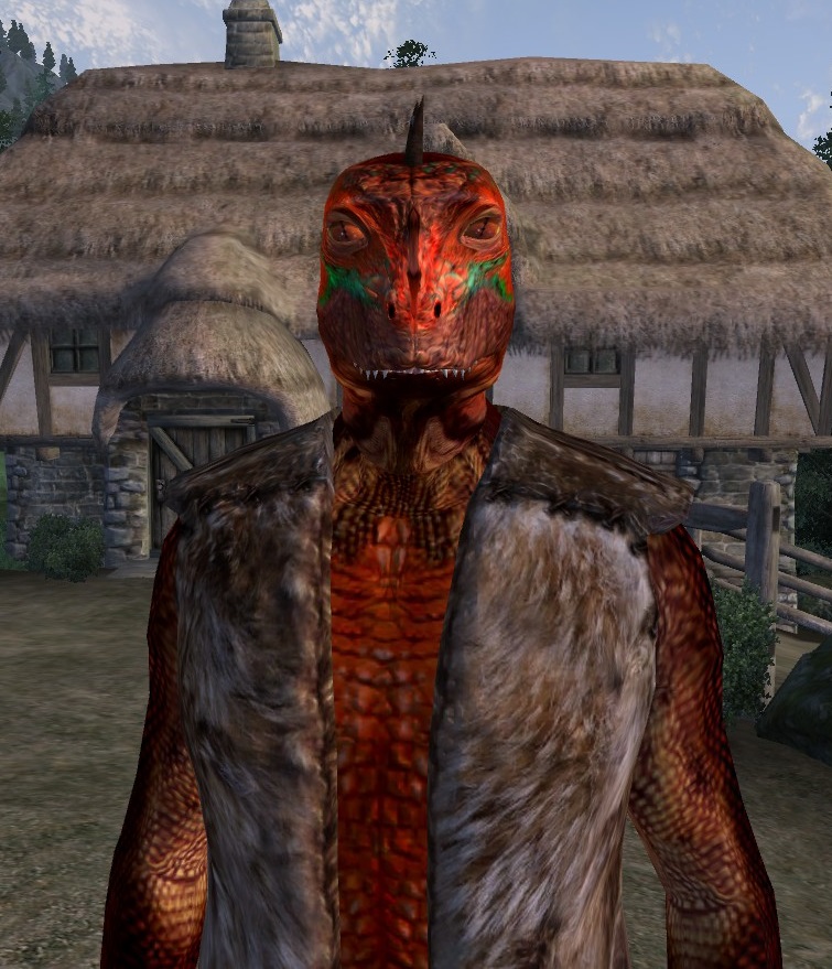 Argonian textures. Аргониане обливион. The Elder Scrolls 4 Oblivion аргониане. Аргонианин вампир обливион. Тес обливион аргониане.