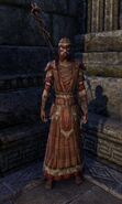 A Nord Pact mage in light armor