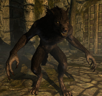 Lycanthropy Elder Scrolls Fandom