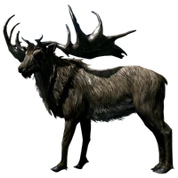 Олень Deer 003.png (630 КБ) Самец большерогого оленя