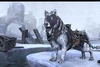Frostbane Wolf