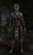 Galereth, the Wild Witch is an ex-member of the Keerilth.