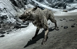 Ice Wolf (Skyrim)