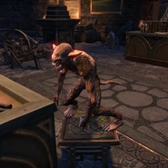 Barbas w postaci Pełzacza z gry The Elder Scrolls Online