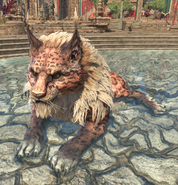 A Senche-raht in The Elder Scrolls Online.