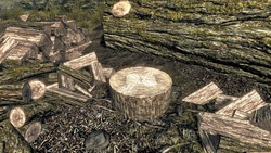 Wood Chopping Block Elder Scrolls Fandom