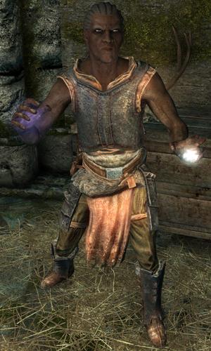 Haldyn (Skyrim)