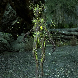 Spriggan Skyrim