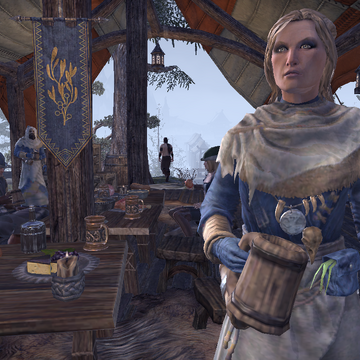 elder scrolls fandom