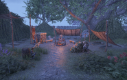 Camp