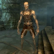 Draugr