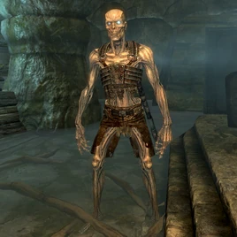 Draugr (Skyrim)