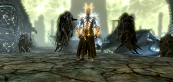 Dragon Aspect Dragonborn Elder Scrolls Fandom