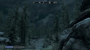 The road in western Falkreath leading north to Half-Moon Mill.