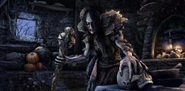 Witches Festival Hag Promo