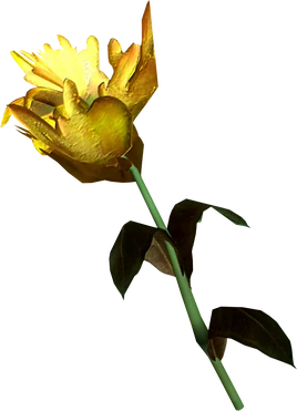 Yellow mountain flower