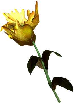 encantamiento de flor oscura