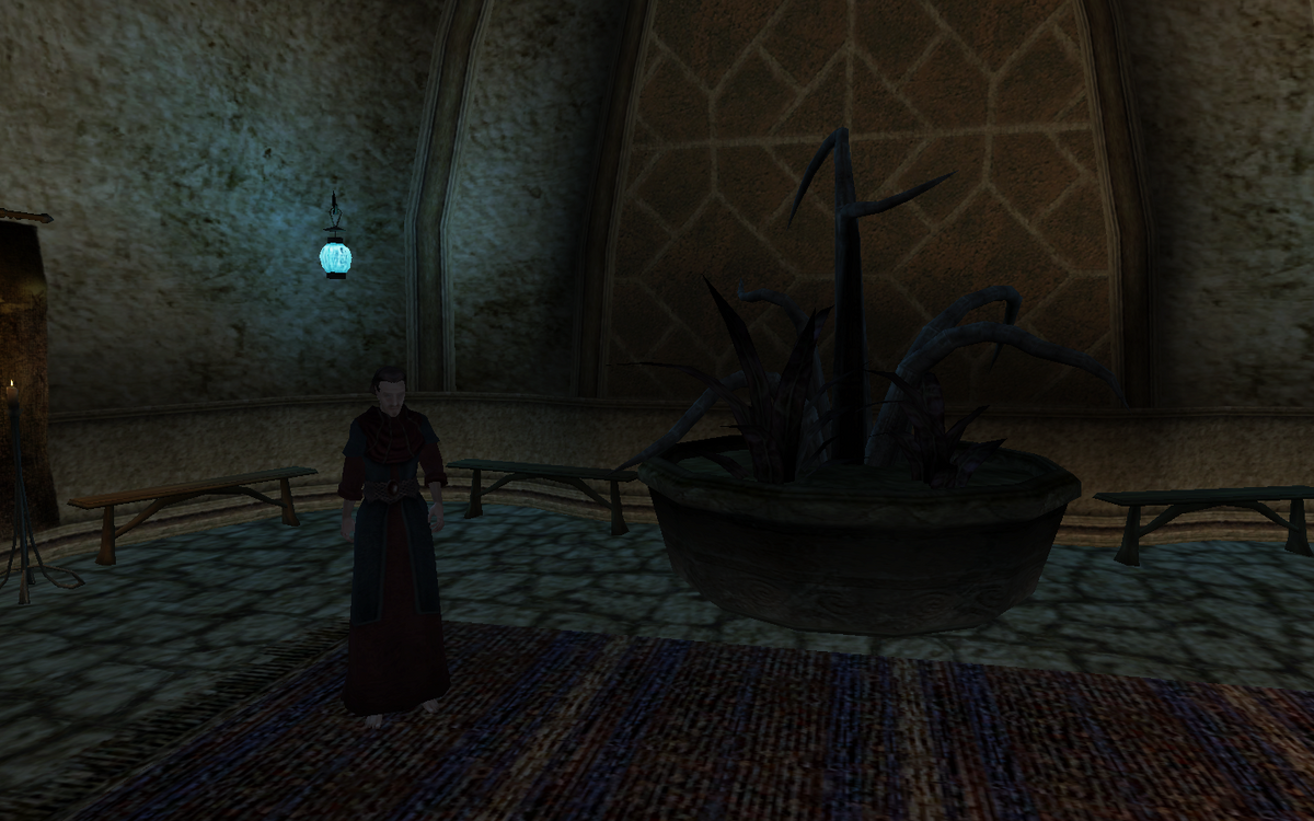 первое задание гильдии магов морровинд. квесты гильдии магов. квесты гильдии магов. Oblivion имперский город гильдия магов. гильдия волшебства обливион.