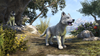 Crown Store White River Ice Wolf Pup.png