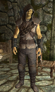 Linwe, Anführer der Schatten von Summerset