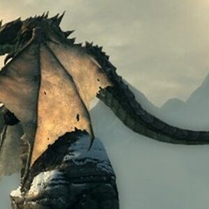 Dragons Skyrim Elder Scrolls Fandom