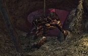 Kwama Worker (Morrowind)