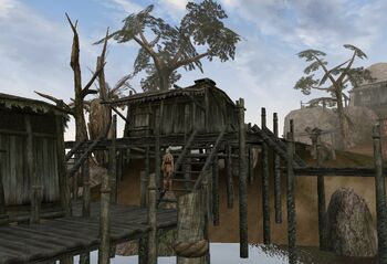 TES3 Morrowind - Ald Velothi - Llerar Vinden's Shack exterior