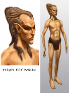 High Elf Male