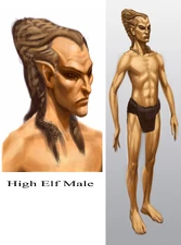 Concept art - Altmer man in Skyrim