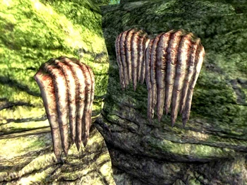 Деформированный болотный усик внешне ничем не отличается от обычного