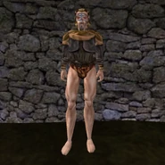 common_shirt_05