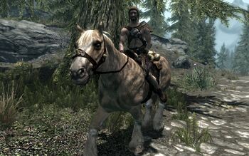 Myśliwy na koniu (Skyrim)
