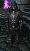 TESIV Guard Battlemage