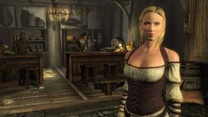 Clothing (Skyrim)