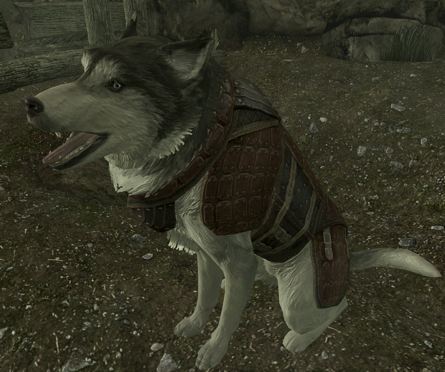 can you adopt dogs in skyrim