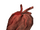 Corazón de daedra (Morrowind)