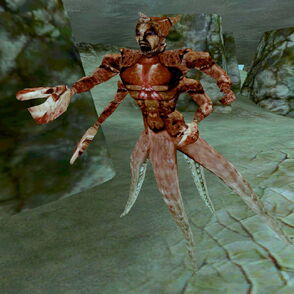 Dreugh 2 (Morrowind)